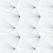 Navy + White - WP