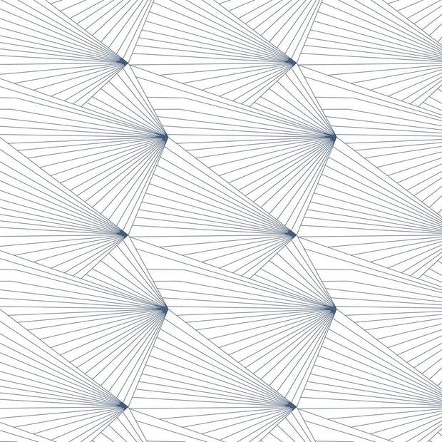 Navy + White - WP