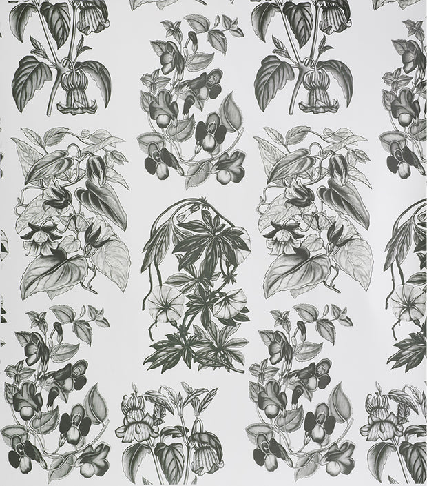 Charcoal Flore des Serres Wallpaper – Sold by Yard | 6–8 Week Lead