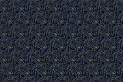 V02 - F