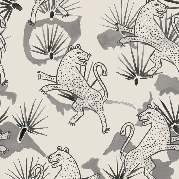 Day - Leopard Palm - Premium Quality | Supply Showroom