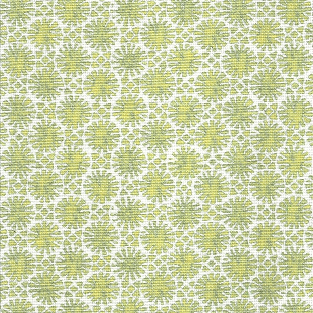 Willow - F