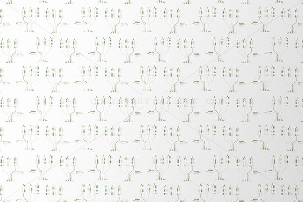 Pink & Green on White - WP