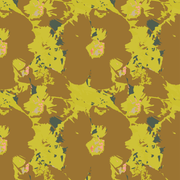Marigold Gold - WP