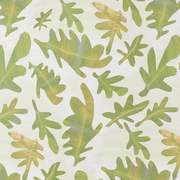 Terra Verte - WP