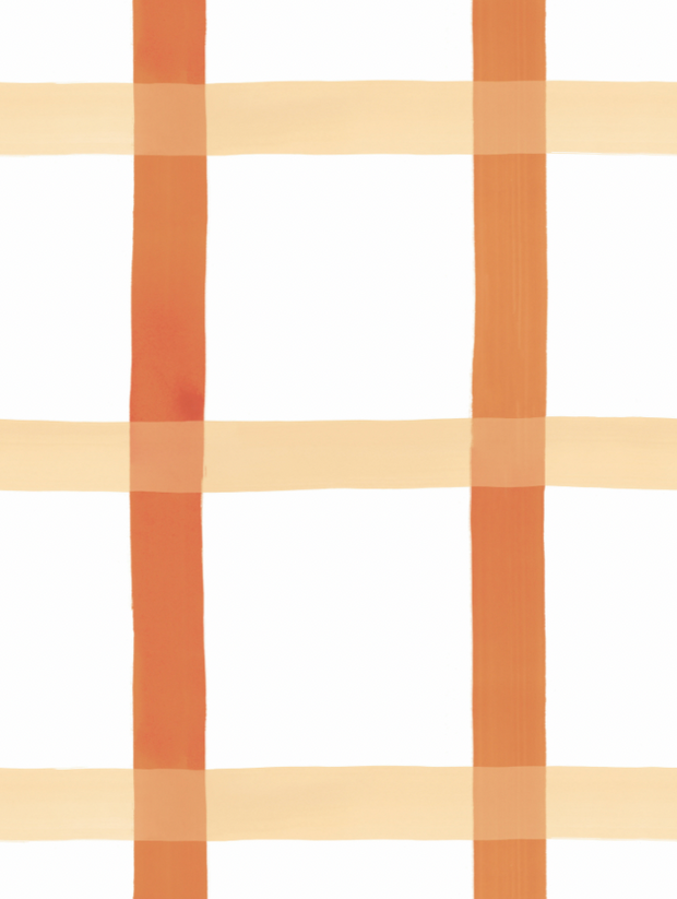 Terra Cotta and Salt Pink on White - WP