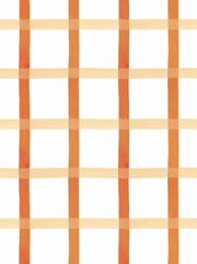 Terra Cotta and Salt Pink on White - WP