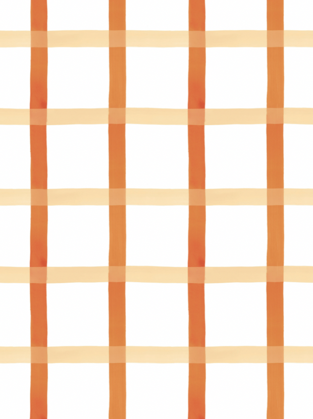 Terra Cotta and Salt Pink on White - WP