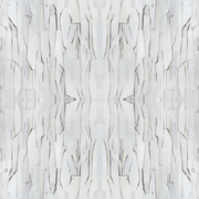 Gray - WP