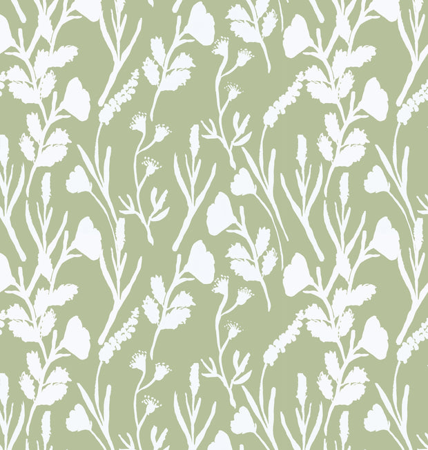Green - WP