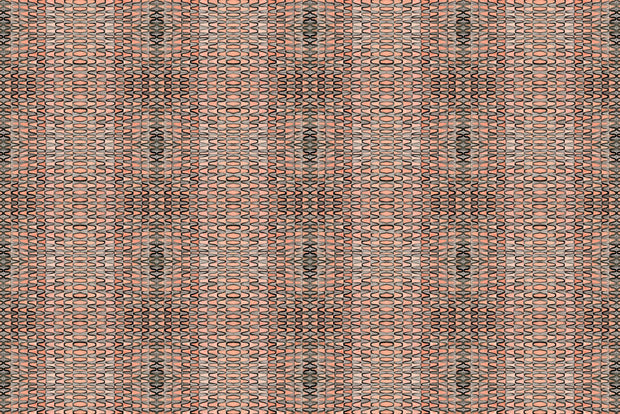 Apricot on Natural Tortoise Fabric – 54" Wide | Supply Showroom