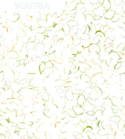 White - WP
