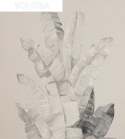 Grey - WP