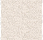 Plaster - WP