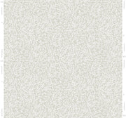 Tern Grey - WP