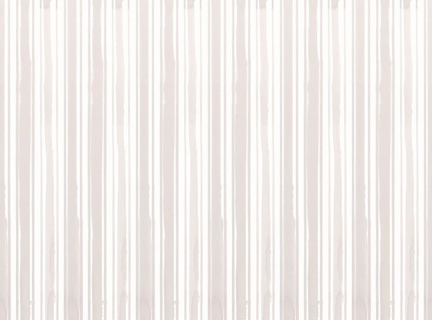 One Colorway - WP