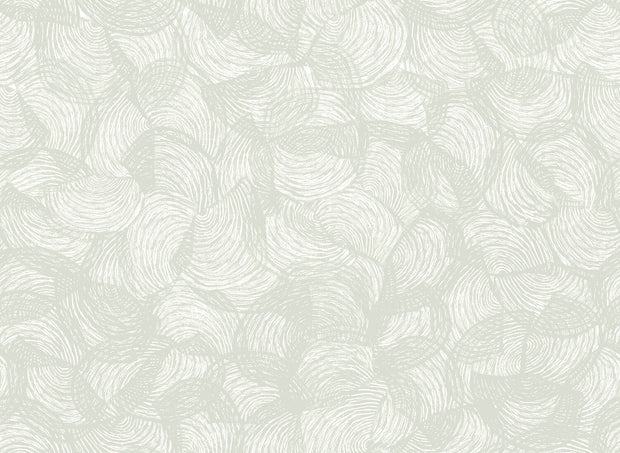 Silky Pear-WP