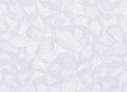 Wildflower - WP
