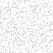Black + White - WP
