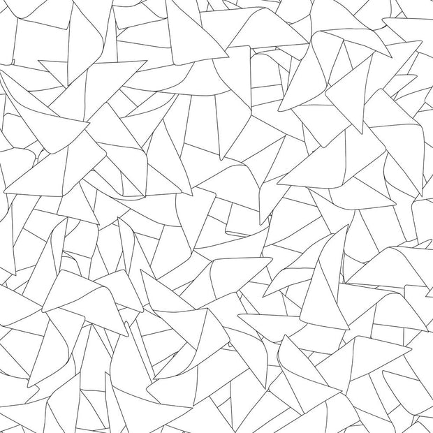 Black + White - WP