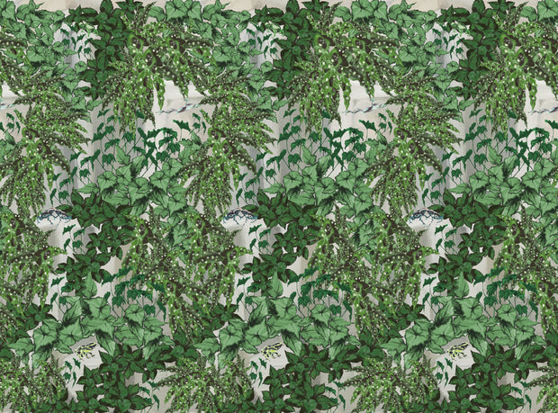 Green - WP