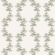 Green - WP