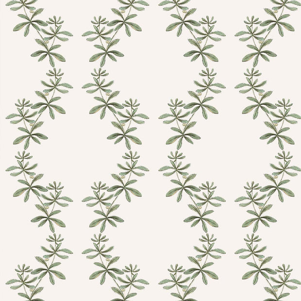 Green - WP