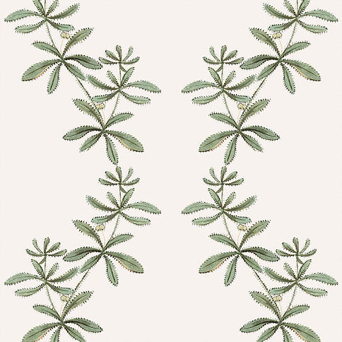 Green - WP