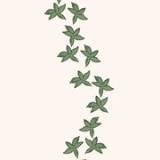 Green - WP