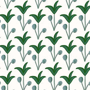Green - WP