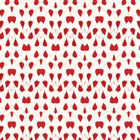 Red - WP