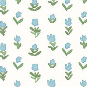 Light Blue - WP