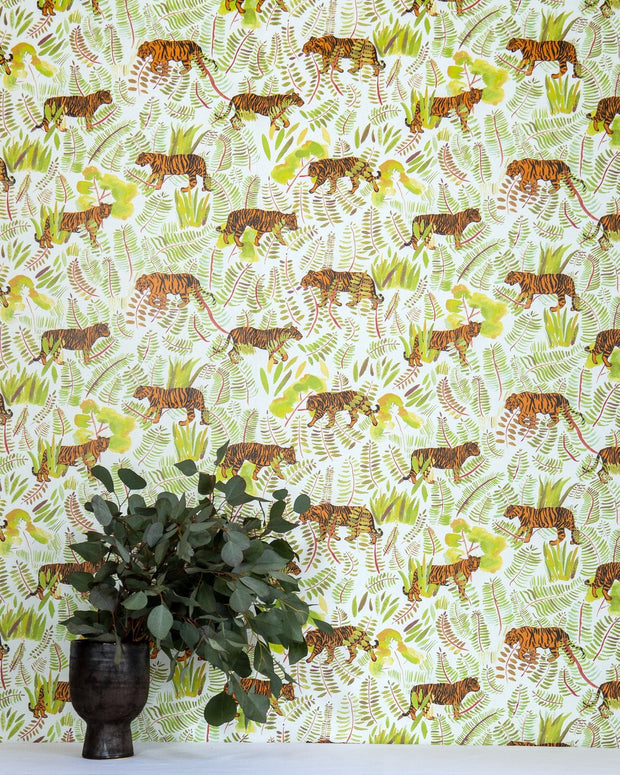 Bengal - WP