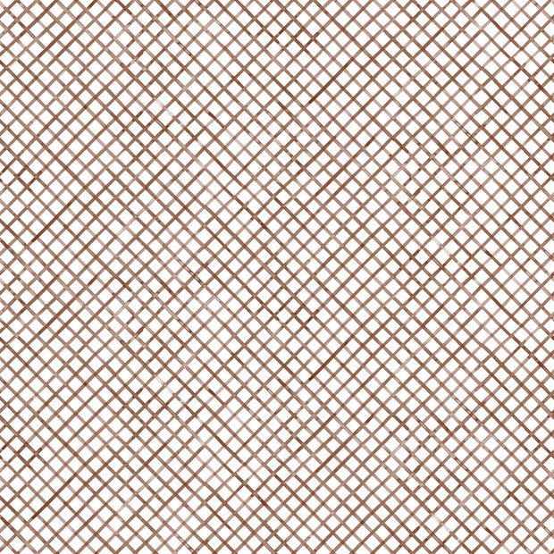 Cassia Bark - F