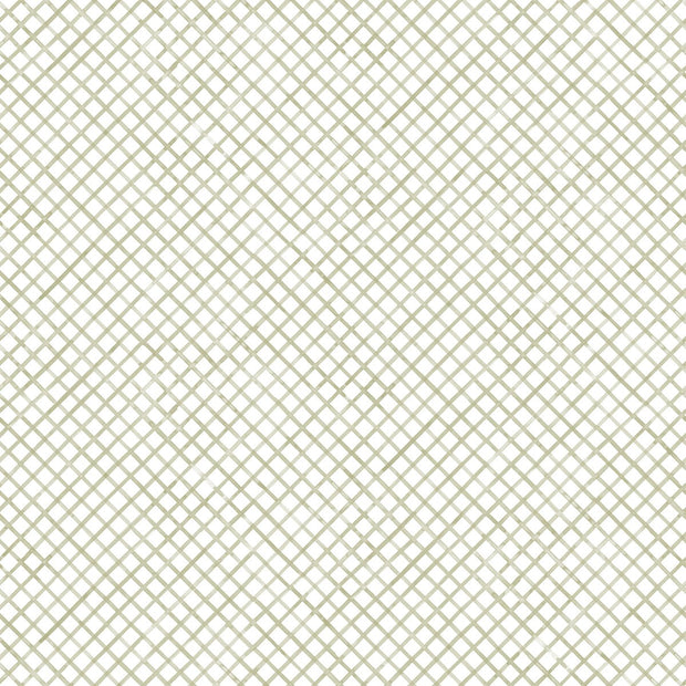 Willow - F