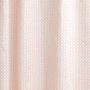 Carnation - F