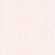 Carnation - F