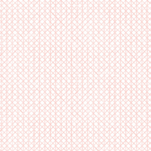 Carnation - F