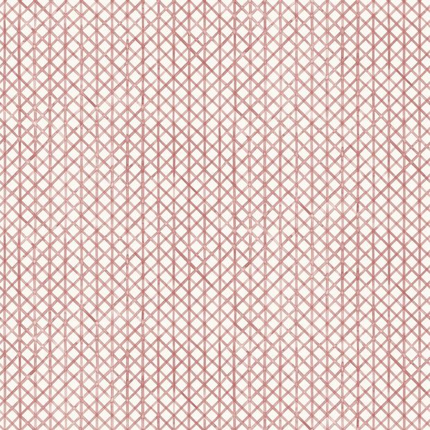 Dusty Rose - WP