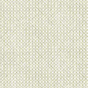 Willow - WP