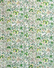 Indian Holly - F