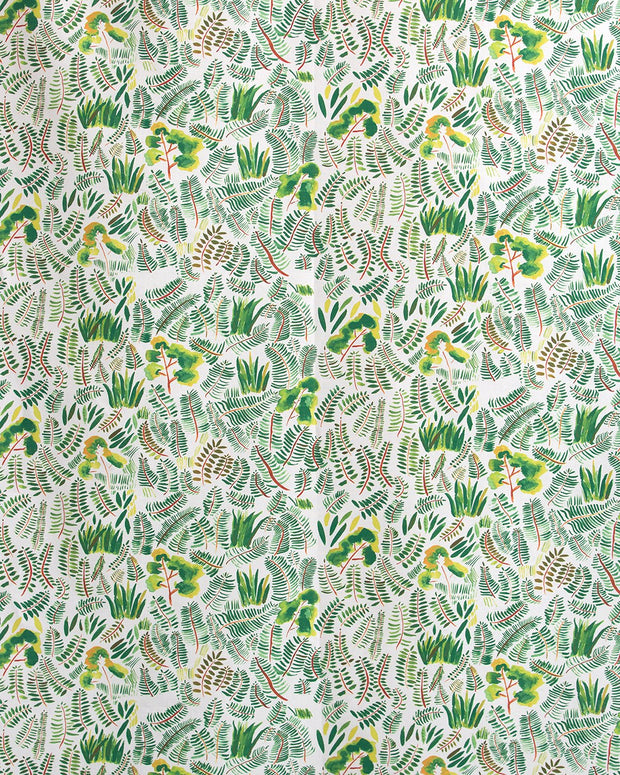 Indian Holly - F