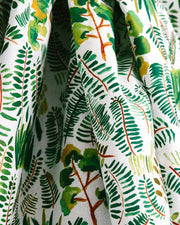 Indian Holly - F