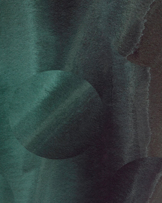 Kelp - WP