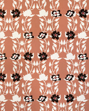 Apricot - WP
