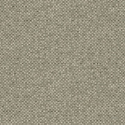 Thicket - F