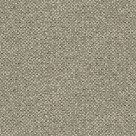 Thicket - F
