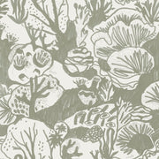 Seaweed - WP