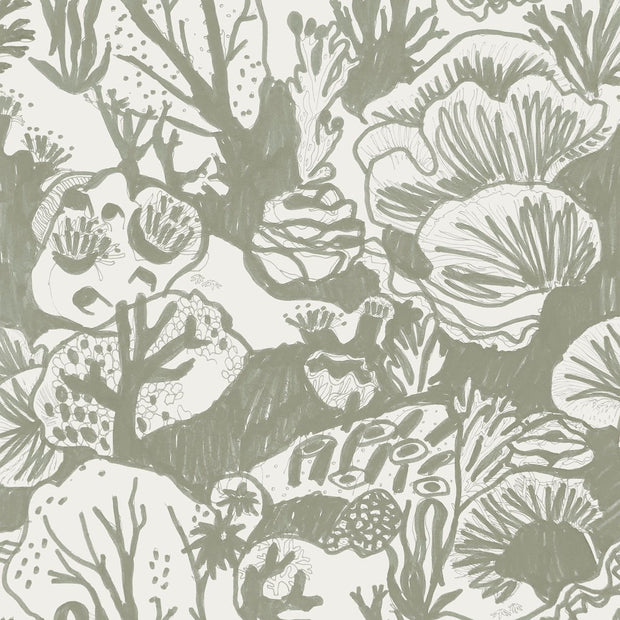 Seaweed - WP