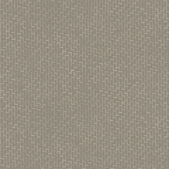 Thicket - WP